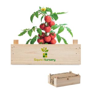 TOMATO Mini-huerto tomates en caja