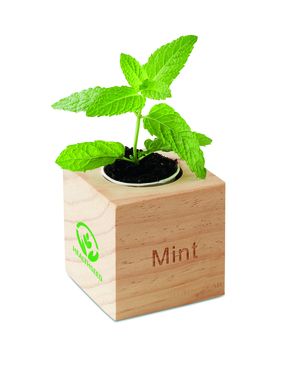 MENTA Maceta con semillas de menta