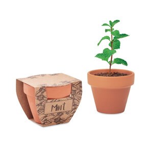 MINT POT Maceta con semillas de menta - GiftRetail MO2218