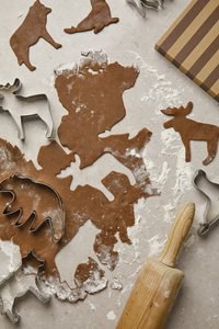 Vinga V26101 - VINGA Nordic big 5 cookie cutter 5-piece set