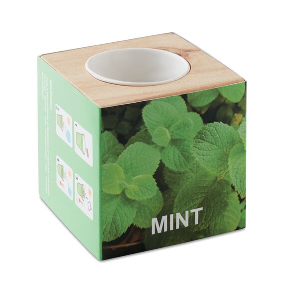 MENTA Maceta con semillas de menta - GiftRetail MO9337
