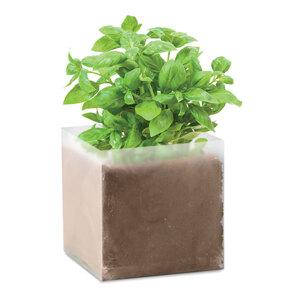BASIL Bolsa de semillas de albahaca - GiftRetail MO9545