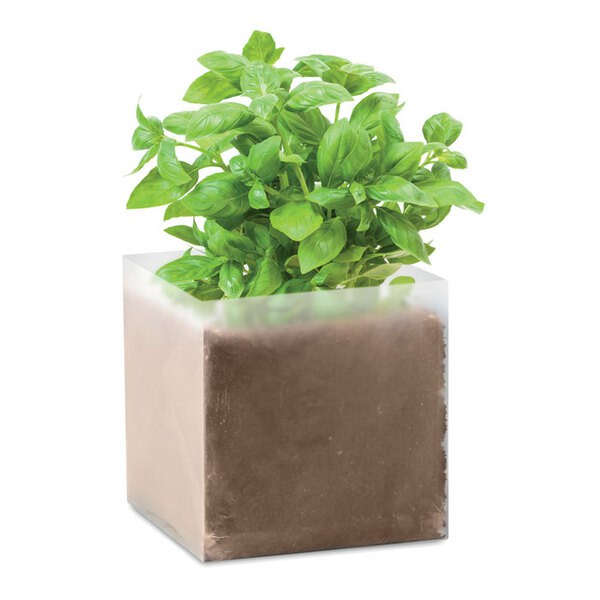 BASIL Bolsa de semillas de albahaca - GiftRetail MO9545