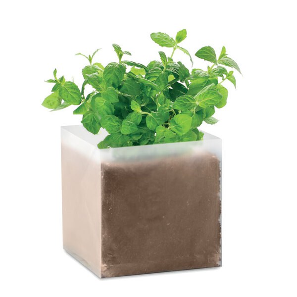 MINT Bolsa semillas de menta - GiftRetail MO9546