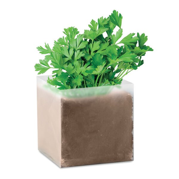 PARSELY Bolsa con semillas de perejil - GiftRetail MO9547