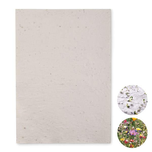 ASIDI Eco-Friendly A4 Wildflower Seed Paper Sheets