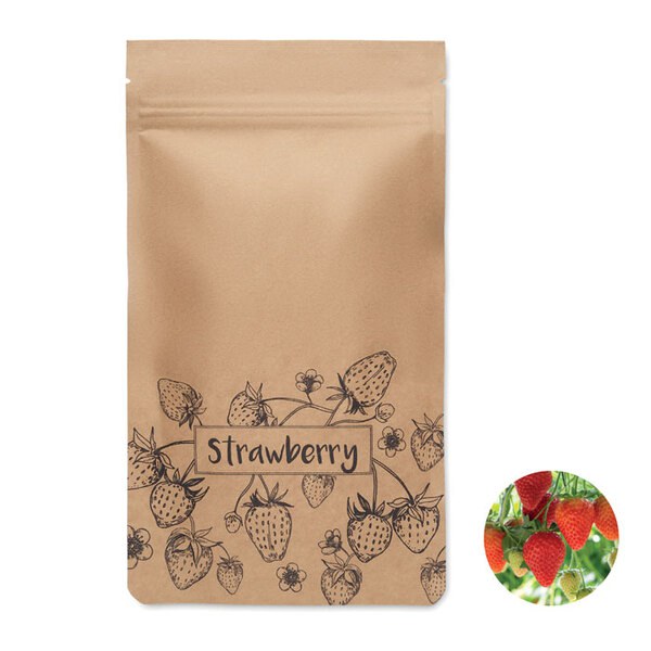 FRESA KIT Kit de cultivo de fresas