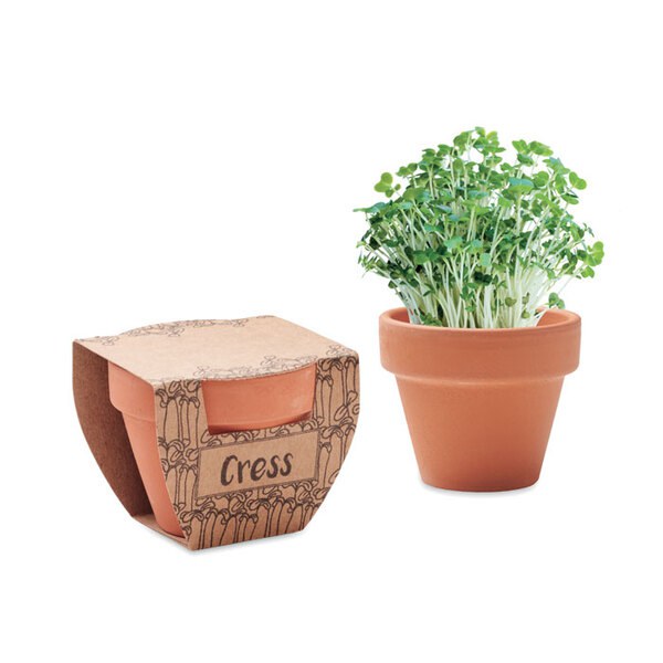 CRESS POT Maceta con semillas de berro - GiftRetail MO2219