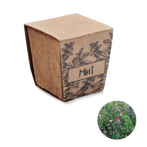 MINT KIT Kit cultivo semillas de menta - GiftRetail MO2410